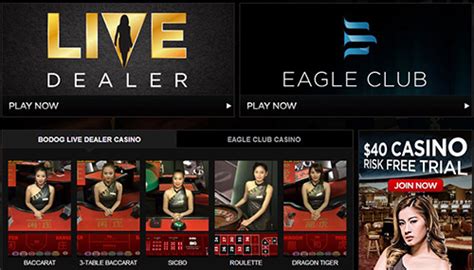 bodog88|Bodog88 Casino Review – Online Casino Review.